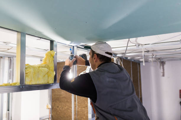 Best Insulation Installation Services in Poncha Springs, CO